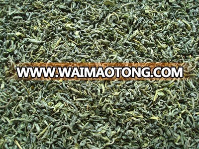 100% organic green tea leaves